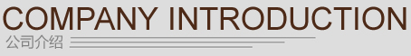 公司介绍
